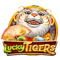 Live Casino Provider 10